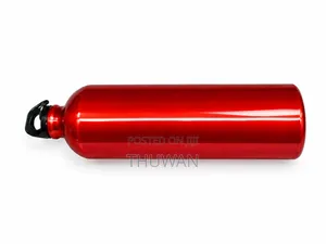 Premium Metallic Water Bottle With Carry Loop