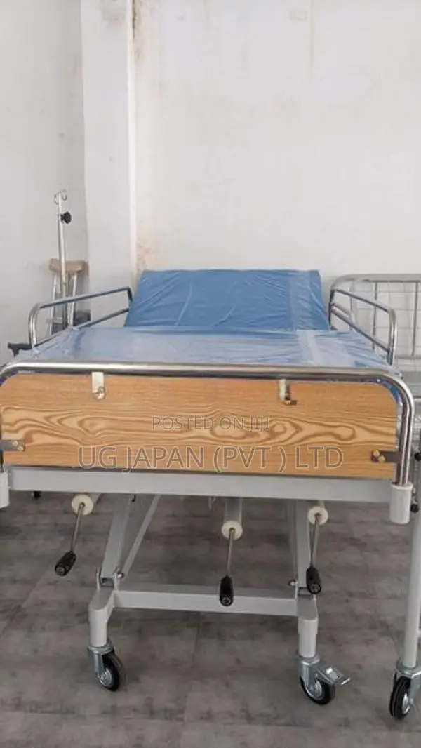 Hospital Patient Bed Three Function Adjustable - With Mattress