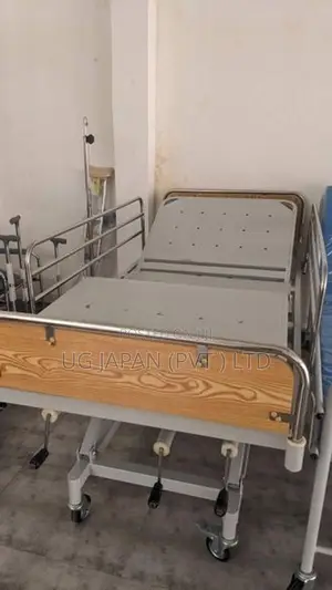 Hospital Patient Bed Three Function Adjustable - With Mattress