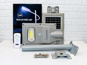 30W Solar Street Light