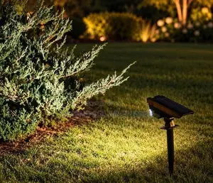 Solar Spot Lamp