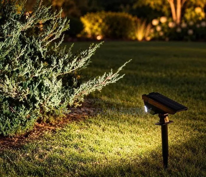 Solar Spot Lamp