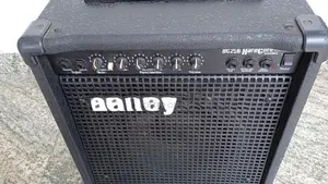 Laney HC 25 B