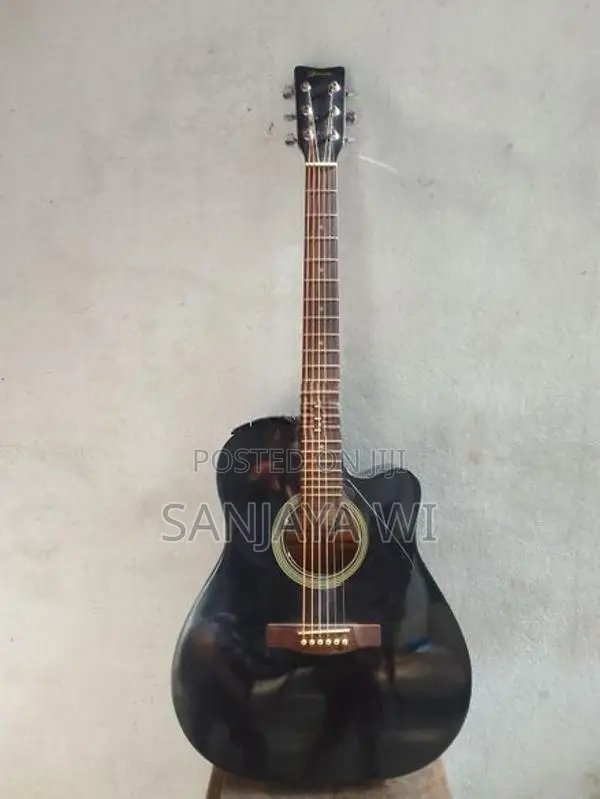 Guitar