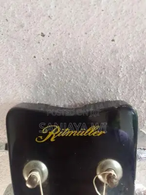Guitar