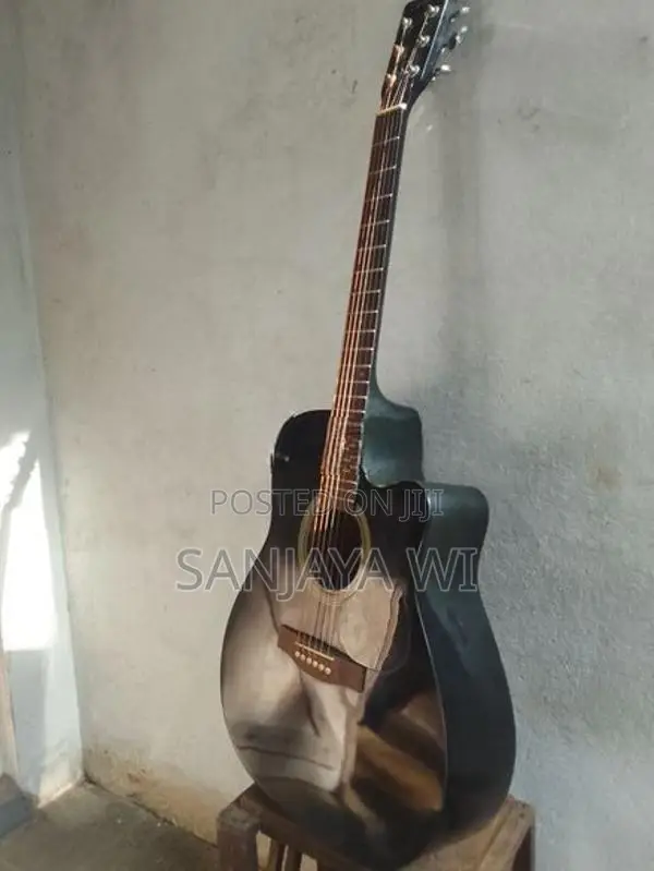 Used Guitar - String Instrument / Amplifier