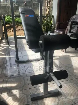 Weight Bench With Leg Extension