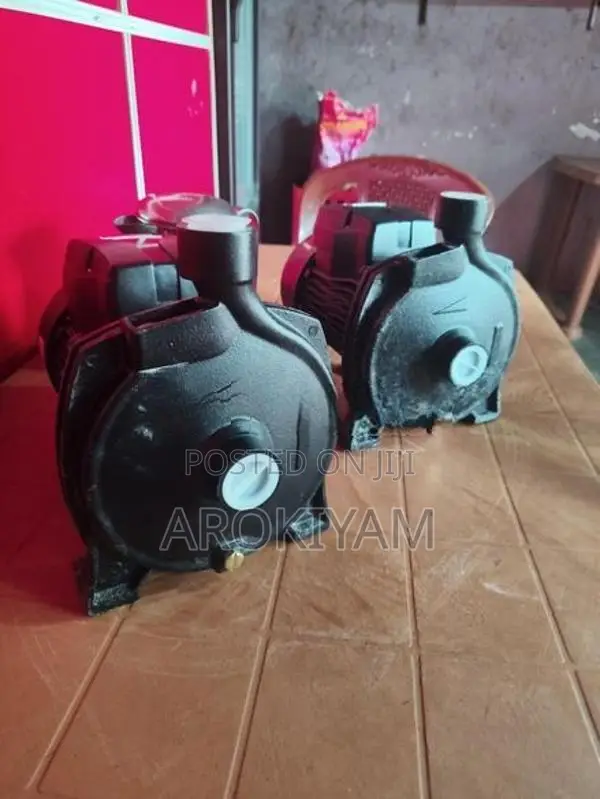 Motor