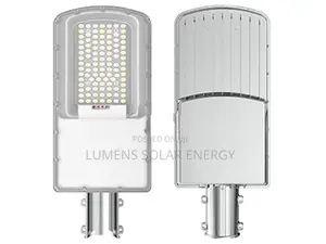 100W Solar Street Light