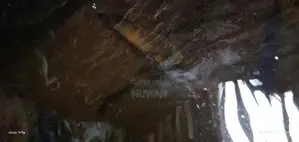Oscar Fish