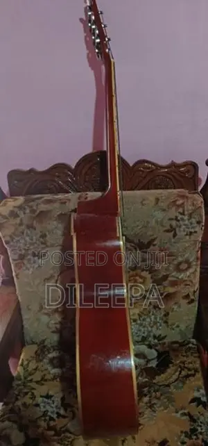 String Instrument Amplifier