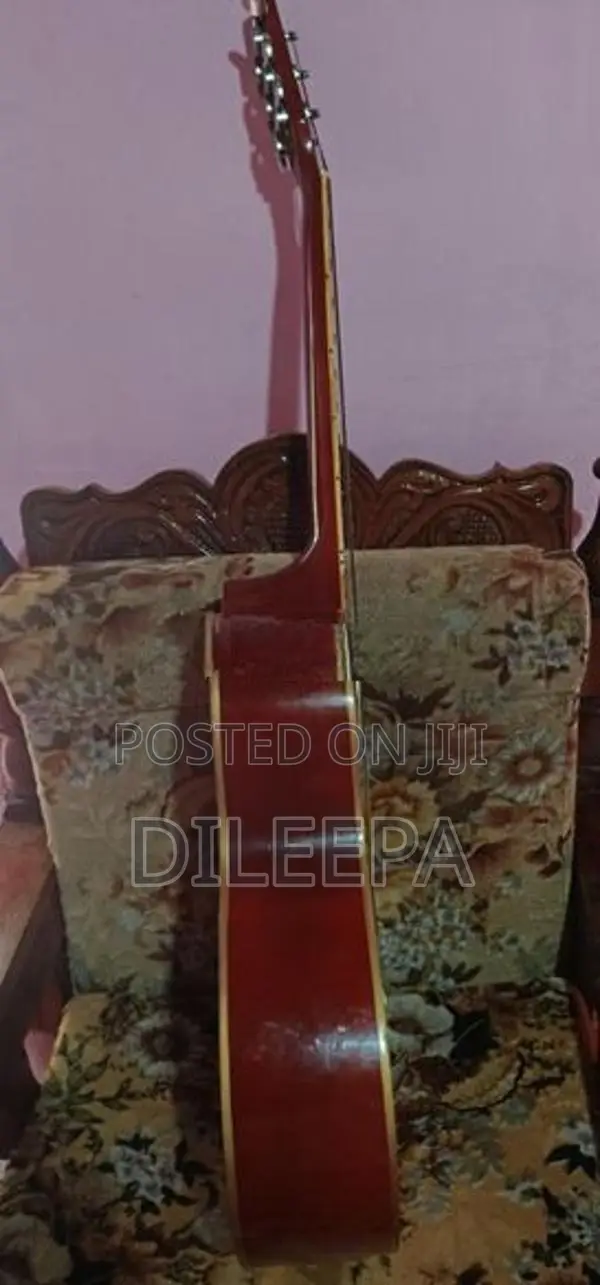 String Instrument Amplifier