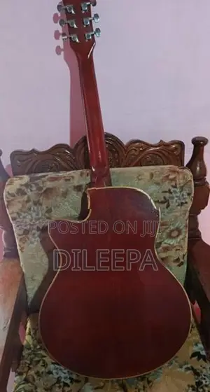 String Instrument Amplifier