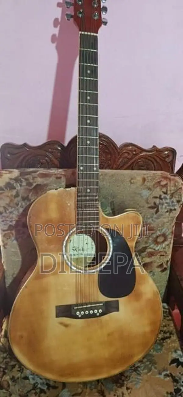 String Instrument Amplifier