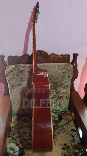 String Instrument Amplifier