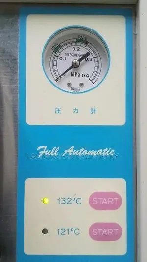 High-Temperature High-Pressure Sterilizer (110V)