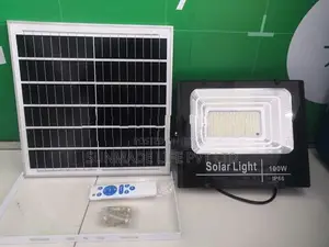 100 W Solar Flood Lamp