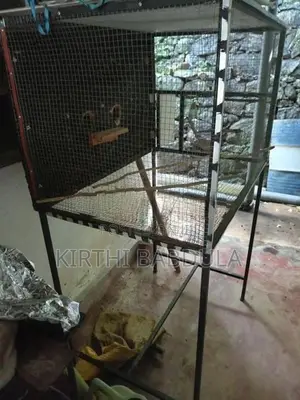 කොක්ටෙල් කූඩුවක්