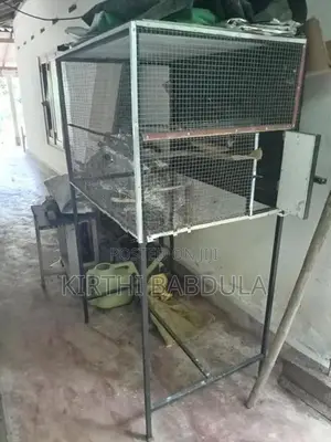 කොක්ටෙල් කූඩුවක්