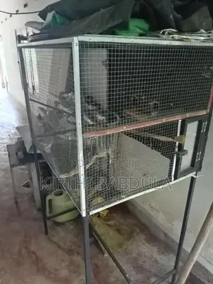 කොක්ටෙල් කූඩුවක්