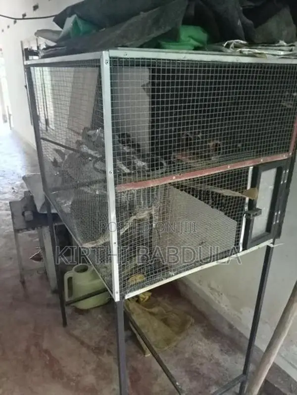 කොක්ටෙල් කූඩුවක්