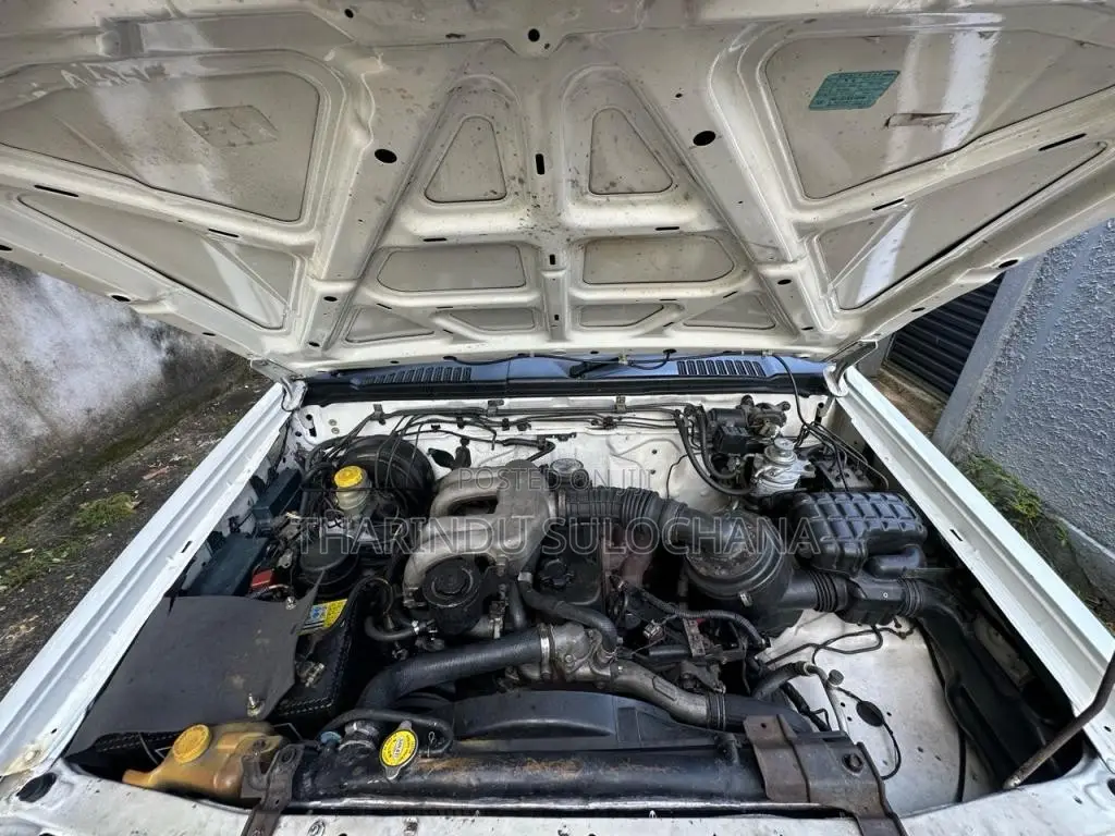 Nissan D22 2004 Pickup (Used)