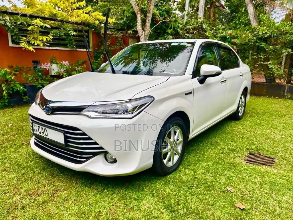 Toyota Axio 2015 Car (Used)