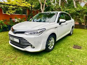 Toyota Axio 2015 Car (Used)
