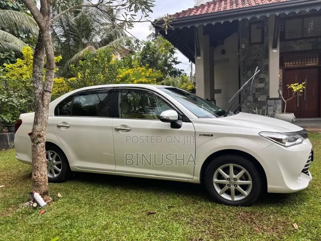 Toyota Axio 2015 Car (Used)