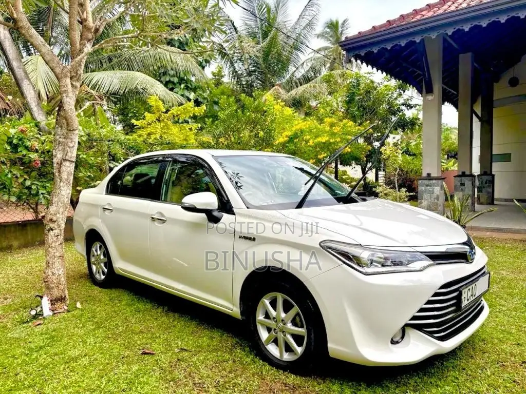 Toyota Axio 2015 Car (Used)