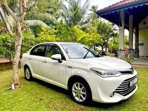Toyota Axio 2015 Car (Used)