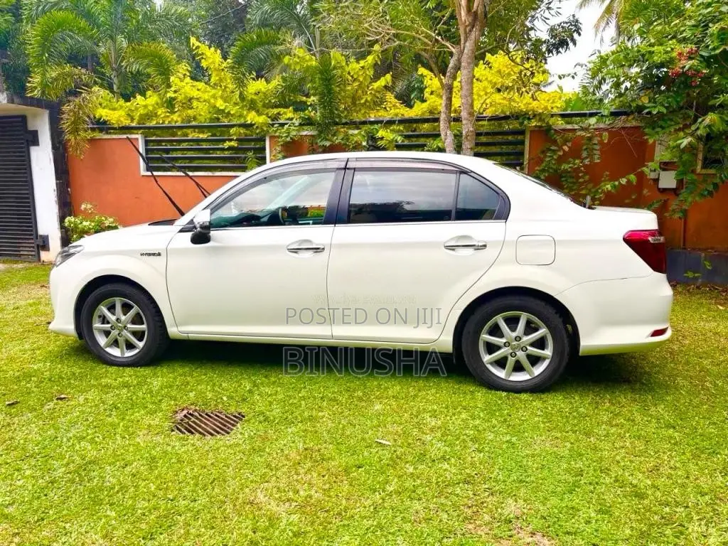 Toyota Axio 2015 Car (Used)