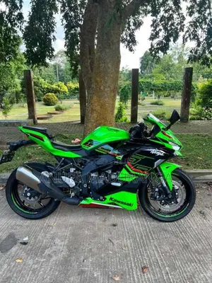Kawasaki Ninja 2024 Motorbike (Used)