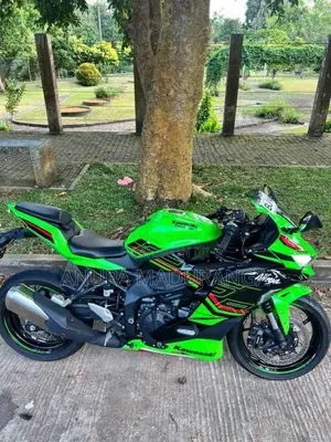 Kawasaki Ninja 2024 Motorbike (Used)