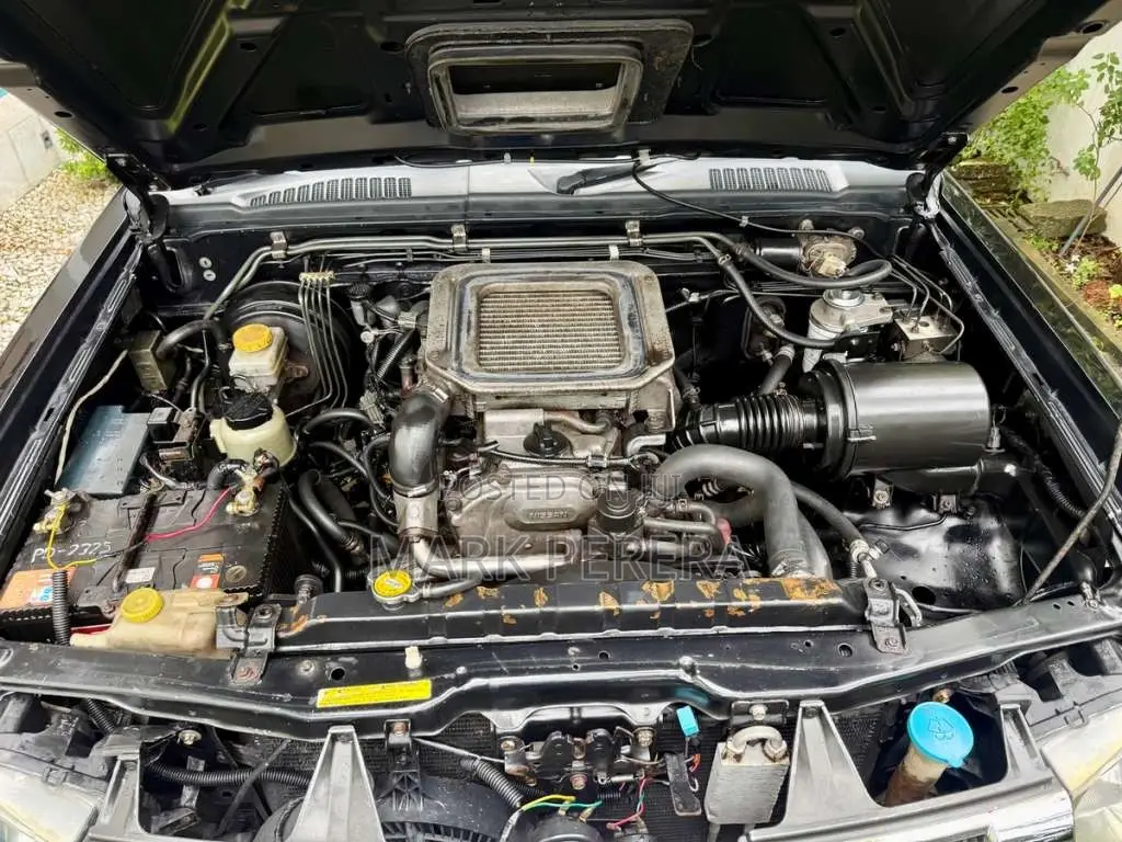 Nissan D22 2006 Pickup (Used)