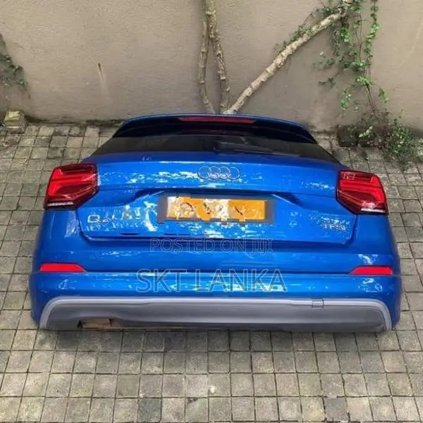 Genuine Audi Q2 2020 Dicky Door LED Light 81A