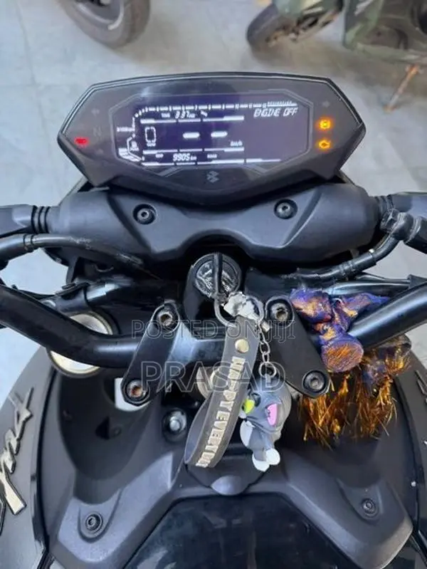 Bajaj Pulsar NS160 Premium 2025