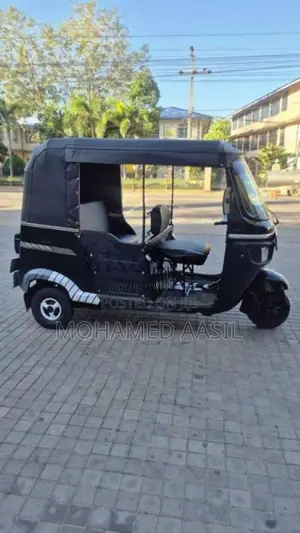 TVS King 2010 Three Wheel (Used)