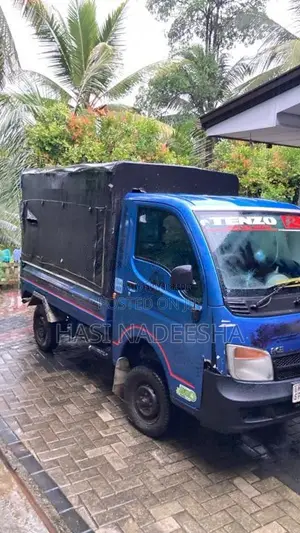Tata Dimo Batta ACE 2019 Lorry (Used)