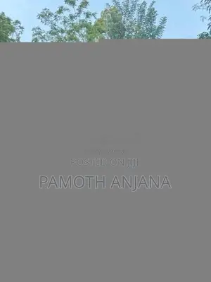 Bajaj 2 Stroke 2001 Three Wheel (Used)