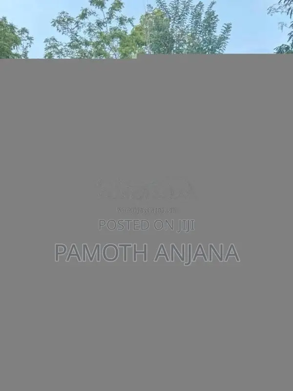 Bajaj 2 Stroke 2001 Three Wheel (Used)