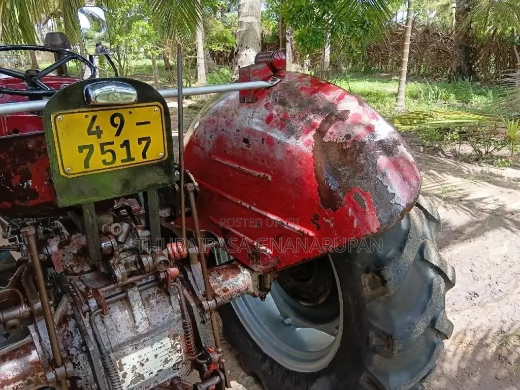 Massey-Ferguson 135 1995 Tractor (Used)
