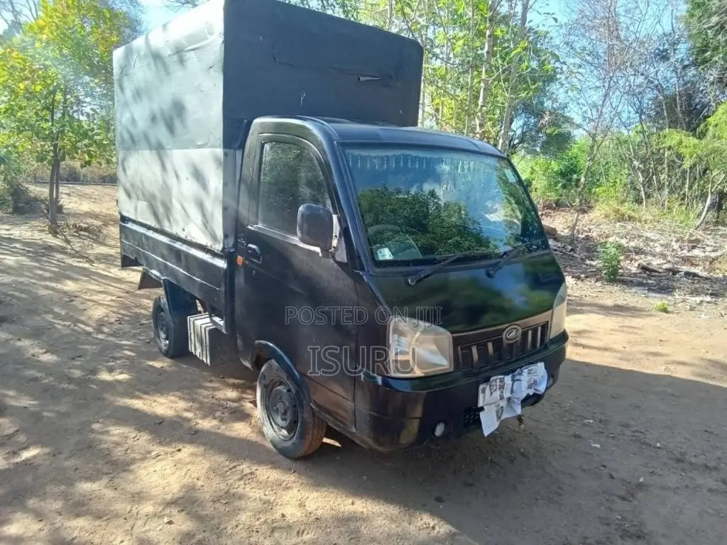 Mahindra Maxximo 2011 Lorry (Used)