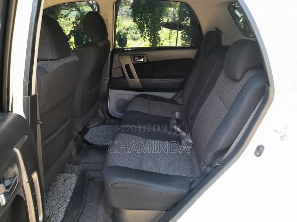 Daihatsu Terios Premium 2011 SUV (Used)