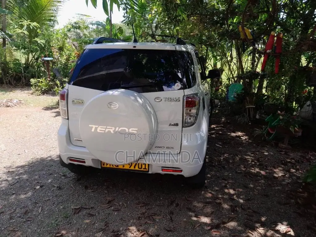 Daihatsu Terios Premium 2011 SUV (Used)