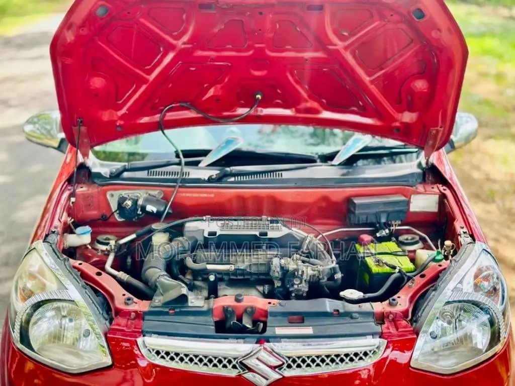 Suzuki Alto 2015 Car (Used)