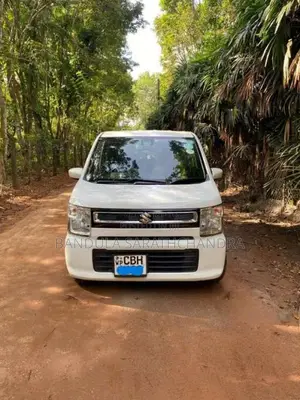 Suzuki Wagon R FX 2018 Car (Used)