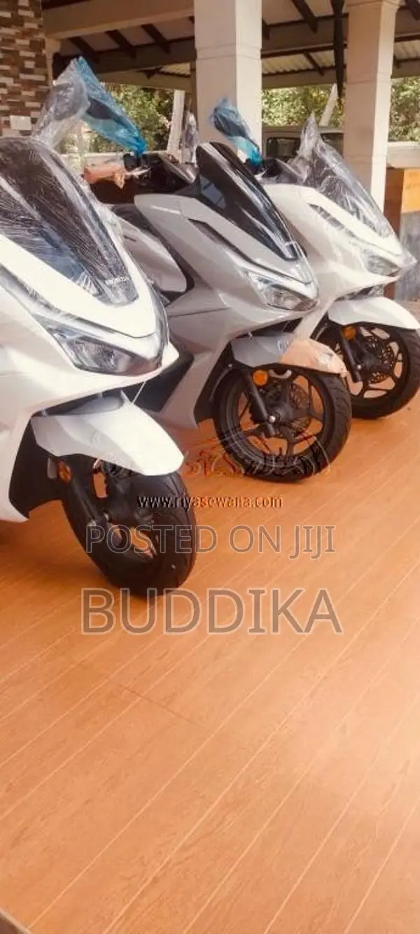 Honda Pcx 2025 Motorbike Brand New