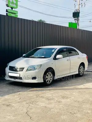 Toyota Axio 2010 Car (Used)