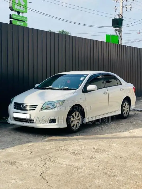 Toyota Axio 2010 Car (Used)
